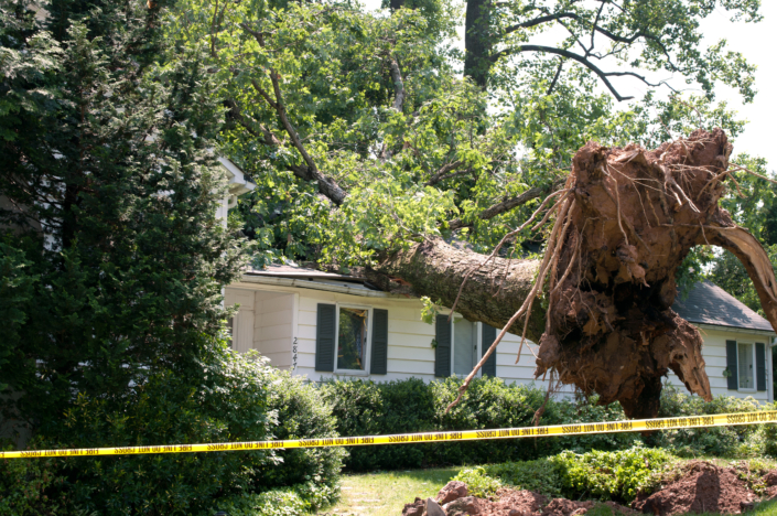 Uprooted tree fell on a house after a serious storm came through