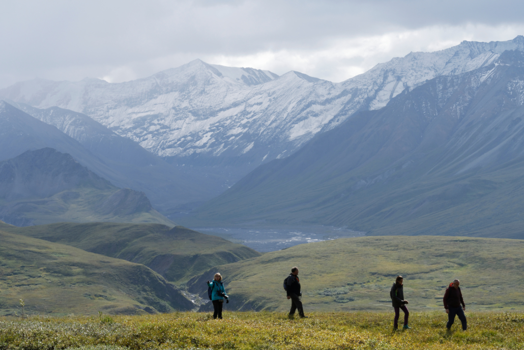 Hikers on the tundra; Denali National Park; Alaska