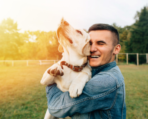 Happy young man holding dog Labrador in hands at sunset outdoors. Fireworks and pets are no match, so we take this opportunity to review 4th of July Pet Safety.